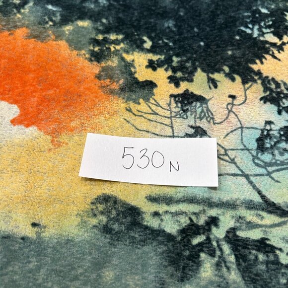 Nino Wong California Scenic Graphic Print Medium T-Shirt Multicolor Relaxed Fit - Picture 7 of 8